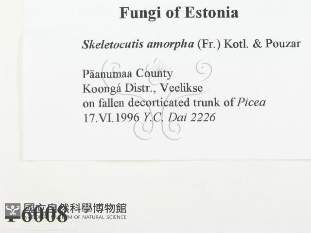 登錄號:F0006008藏品圖，第2張