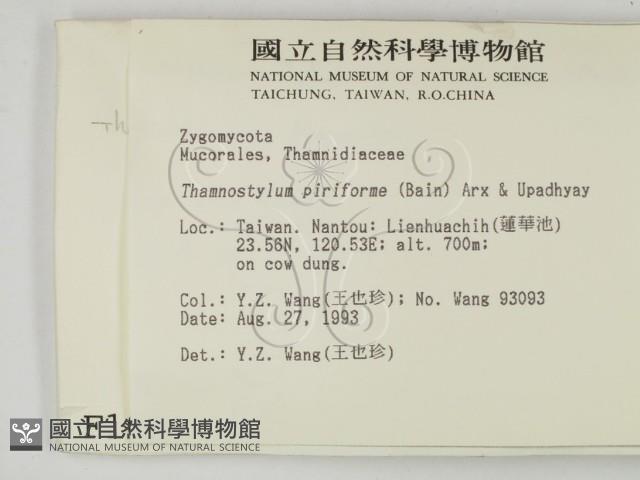 登錄號:F0001008藏品圖，第2張