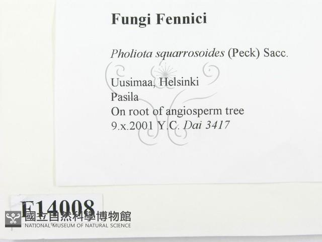 登錄號:F0014008藏品圖，第2張