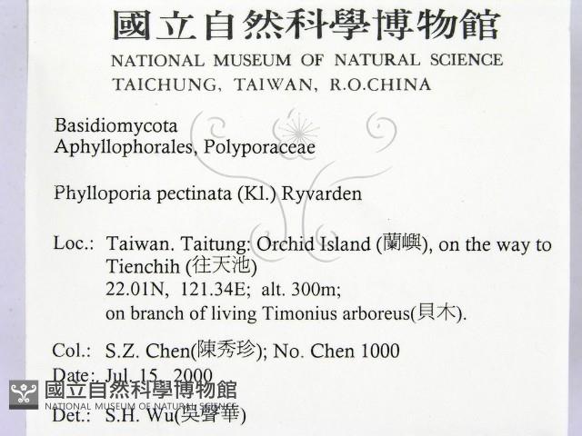 登錄號:F0012008藏品圖，第2張