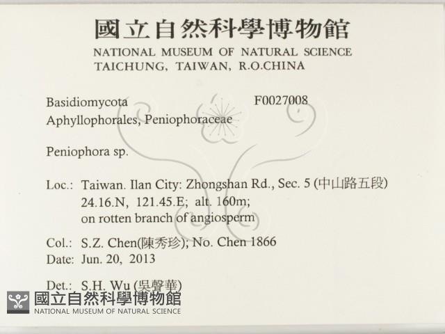 筍殼菌屬藏品圖，第2張