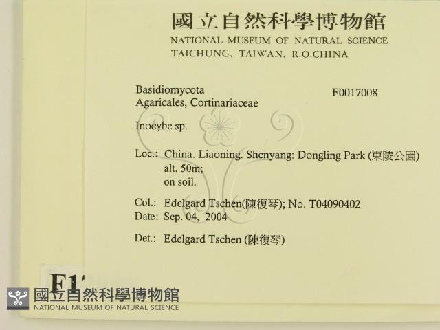 登錄號:F0017008藏品圖，第2張