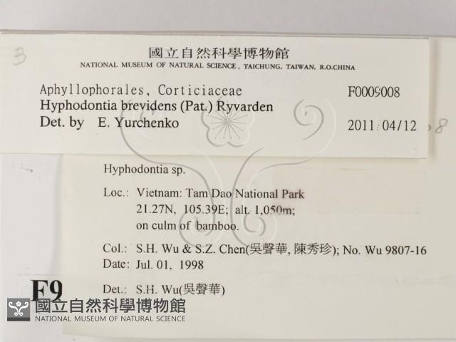 登錄號:F0009008藏品圖，第2張