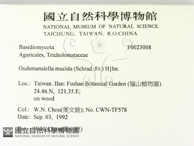 登錄號:F0023008藏品圖，第2張