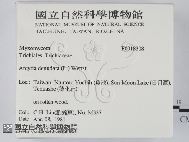 登錄號:F0018308藏品圖，第2張