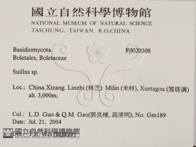 登錄號:F0020308藏品圖，第2張