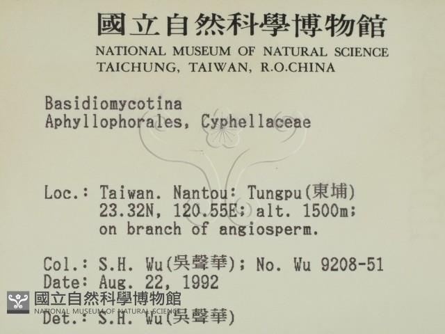 登錄號:F0000308藏品圖，第2張