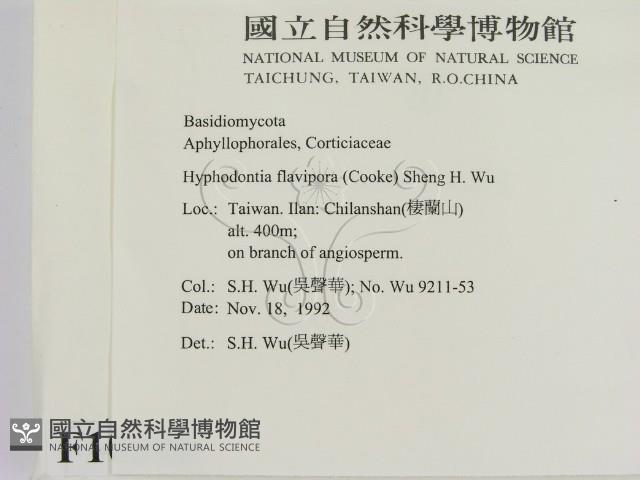 登錄號:F0010308藏品圖，第2張