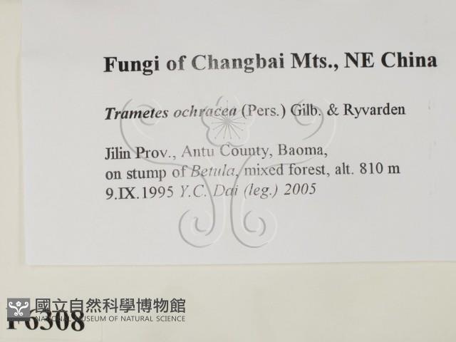 登錄號:F0006308藏品圖，第2張