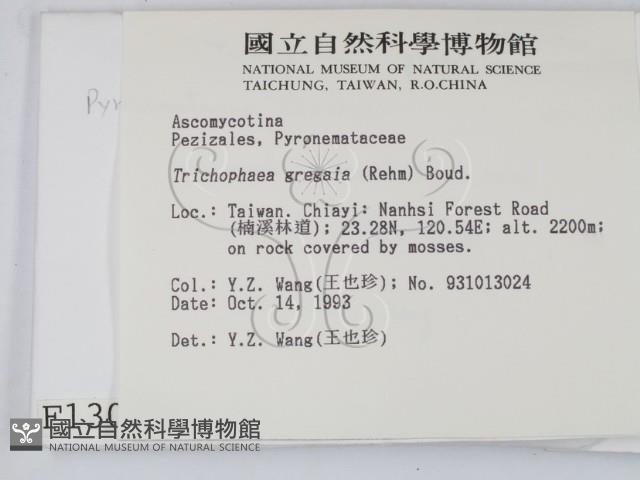 登錄號:F0001308藏品圖，第2張