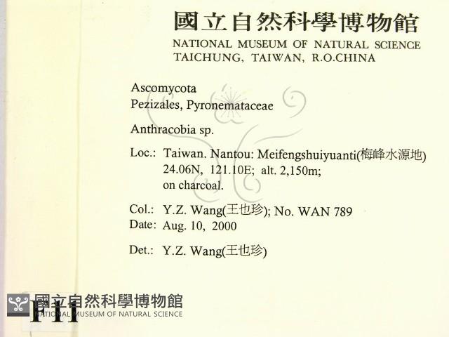 登錄號:F0011308藏品圖，第2張