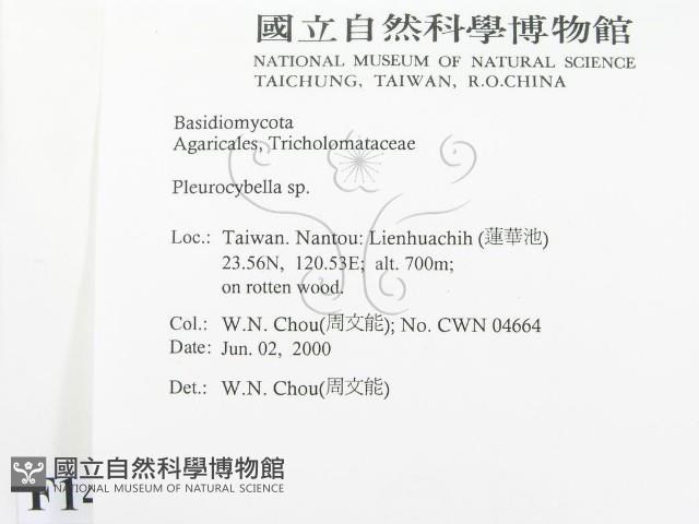 登錄號:F0014308藏品圖，第2張