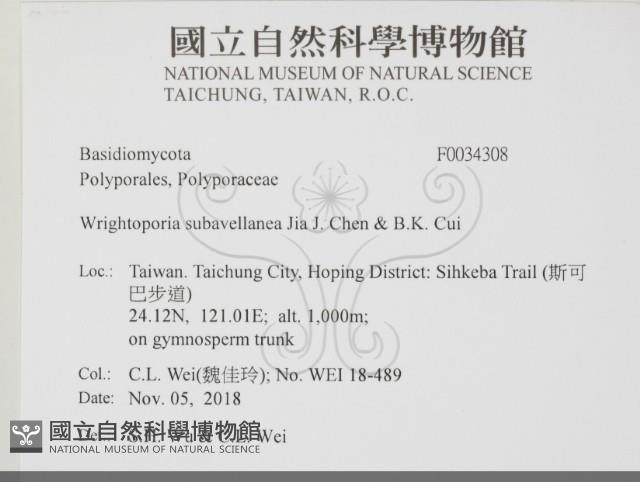 登錄號:F0034308藏品圖，第2張