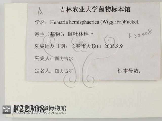 登錄號:F0022308藏品圖，第2張