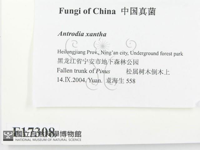 登錄號:F0017308藏品圖，第2張