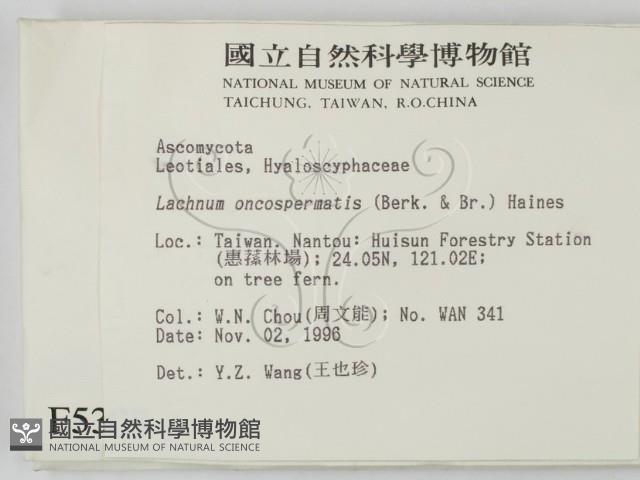 登錄號:F0005308藏品圖，第2張