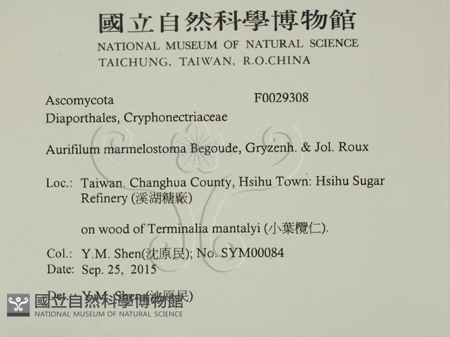 登錄號:F0029308藏品圖，第2張