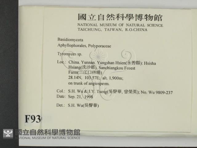 登錄號:F0009308藏品圖，第2張