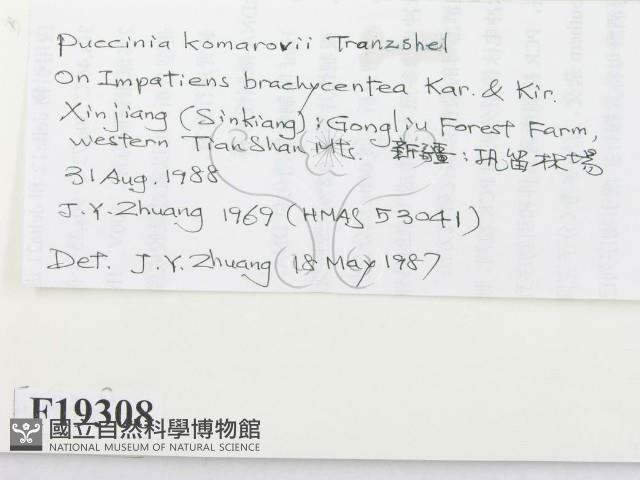 登錄號:F0019308藏品圖，第2張