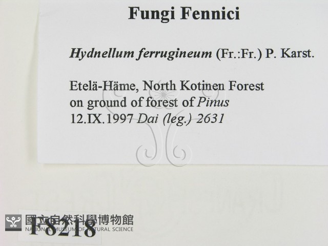 登錄號:F0008218藏品圖，第2張