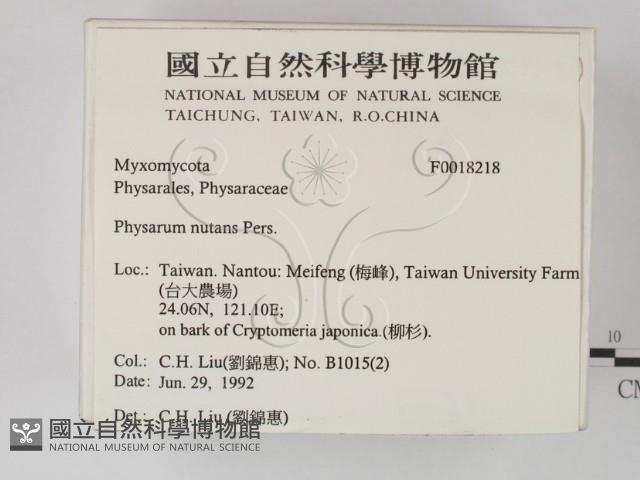 登錄號:F0018218藏品圖，第2張