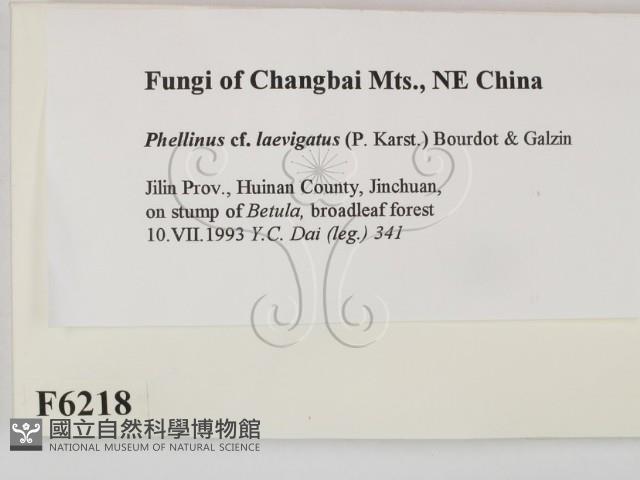 登錄號:F0006218藏品圖，第2張