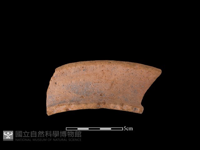 陶罐藏品圖，第2張