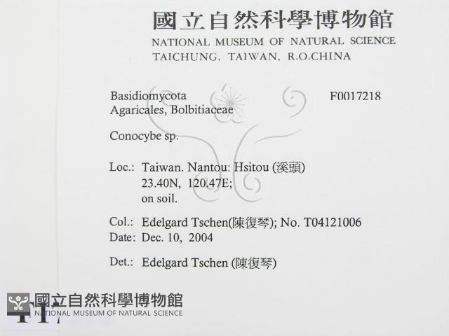登錄號:F0017218藏品圖，第2張