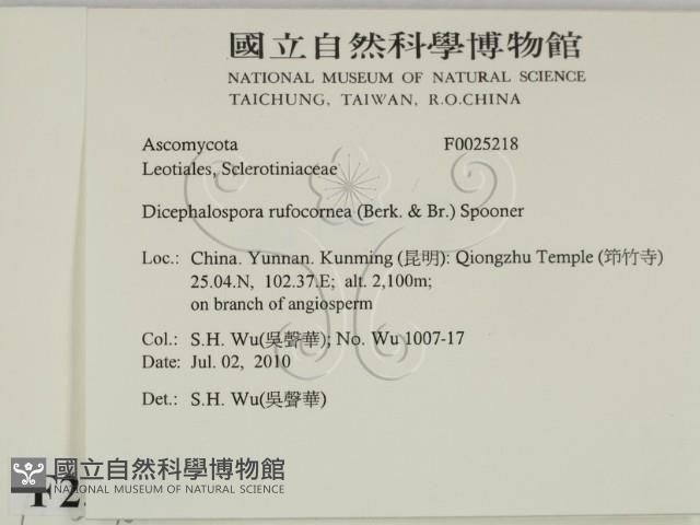 登錄號:F0025218藏品圖，第2張