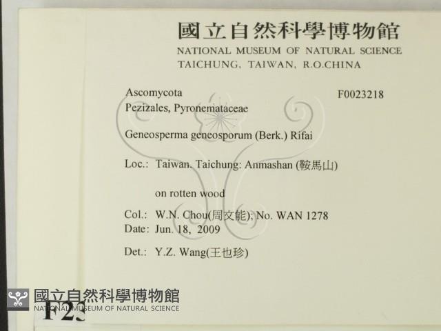 登錄號:F0023218藏品圖，第2張