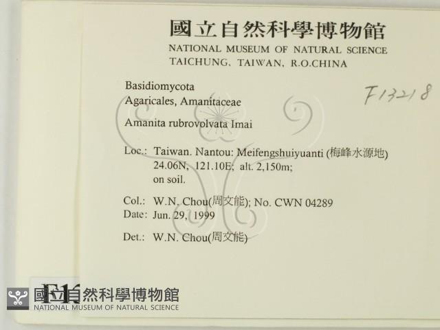 登錄號:F0013218藏品圖，第2張
