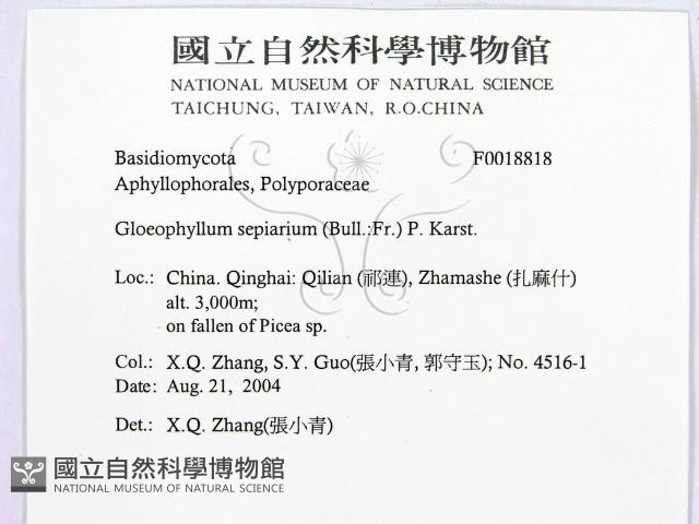 登錄號:F0018818藏品圖，第2張
