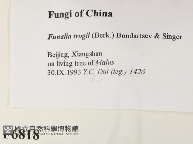 登錄號:F0006818藏品圖，第2張