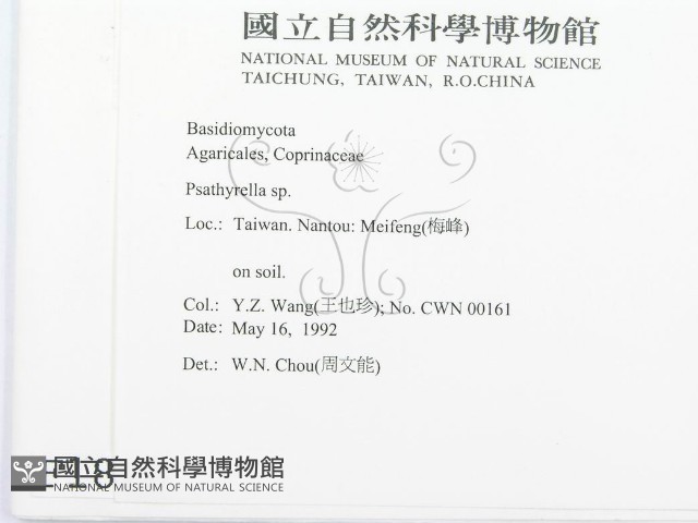 登錄號:F0001818藏品圖，第2張