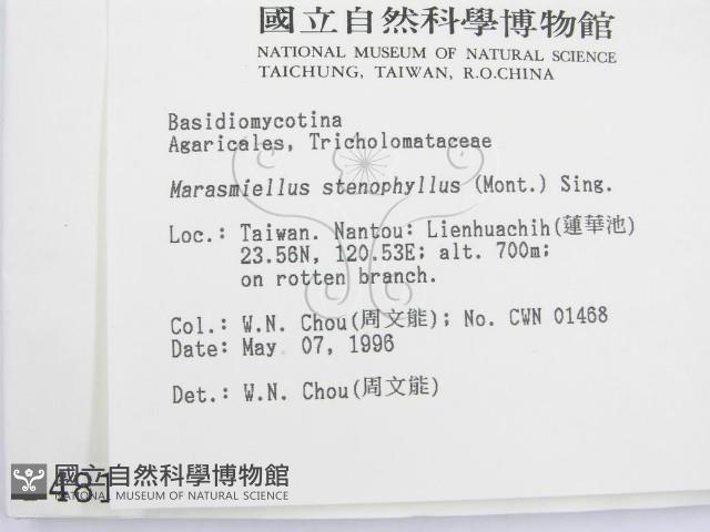 登錄號:F0004818藏品圖，第2張