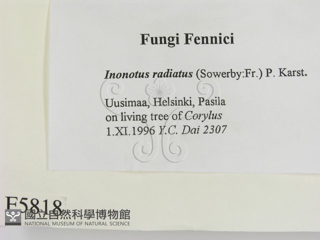 登錄號:F0005818藏品圖，第2張