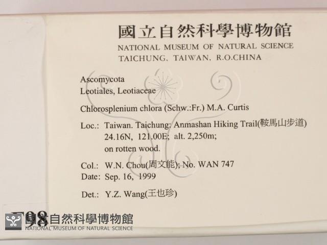 登錄號:F0009818藏品圖，第2張