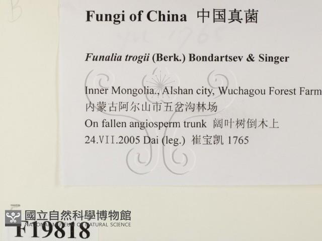 館號:F0019818藏品圖，第2張