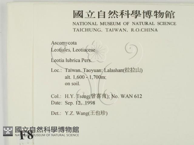 登錄號:F0008918藏品圖，第2張