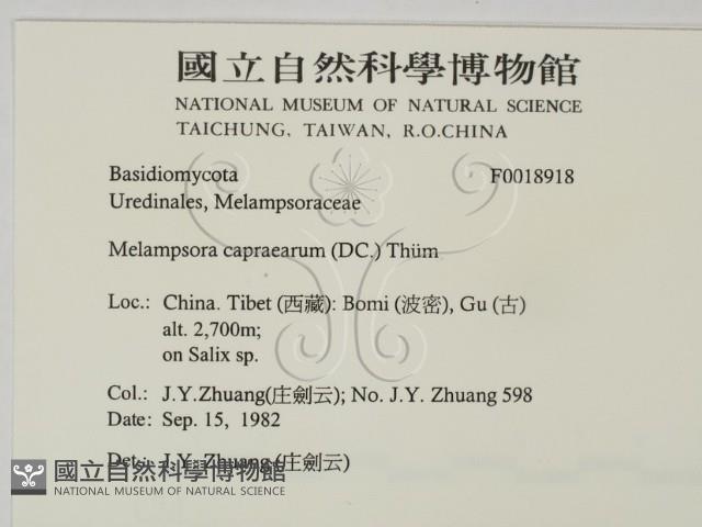 登錄號:F0018918藏品圖，第2張