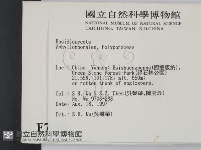 登錄號:F0007918藏品圖，第2張