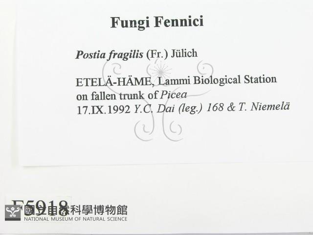 登錄號:F0005918藏品圖，第2張