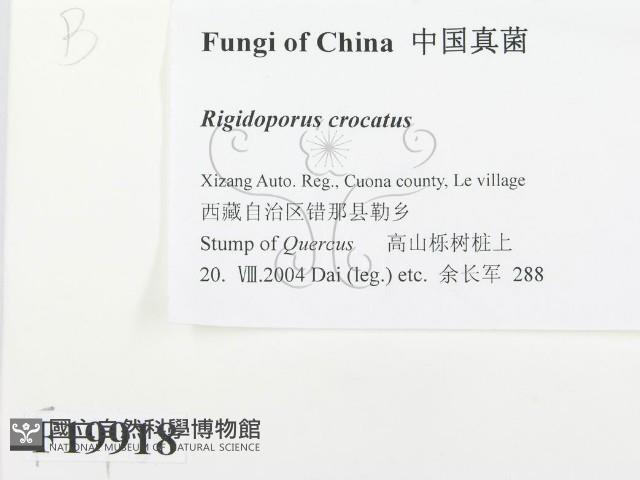登錄號:F0019918藏品圖，第2張