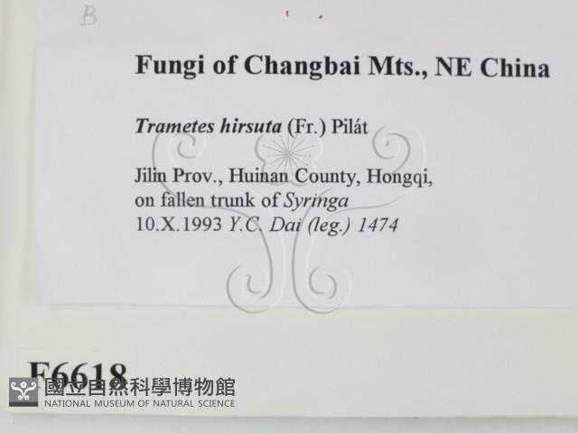 登錄號:F0006618藏品圖，第2張
