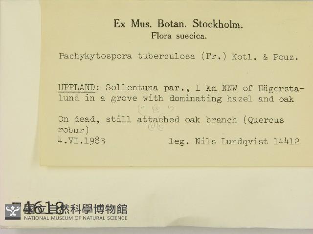 登錄號:F0004618藏品圖，第2張