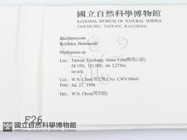 登錄號:F0002618藏品圖，第2張