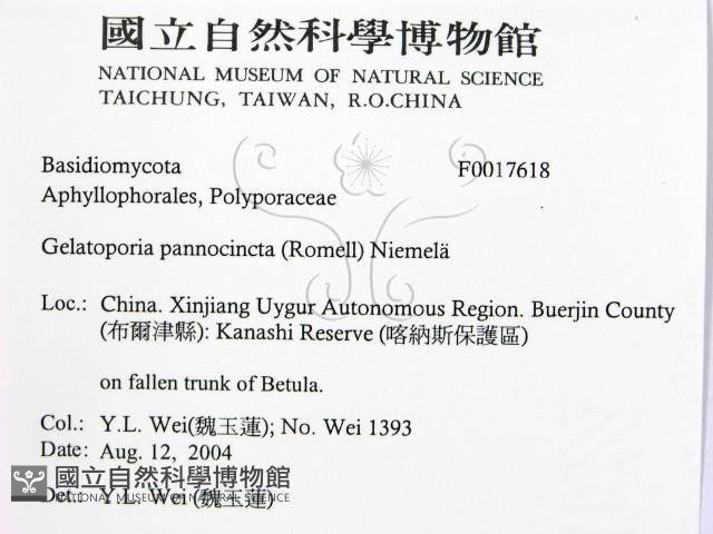 登錄號:F0017618藏品圖，第2張