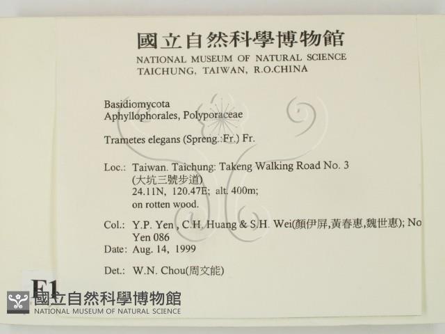 登錄號:F0015618藏品圖，第2張