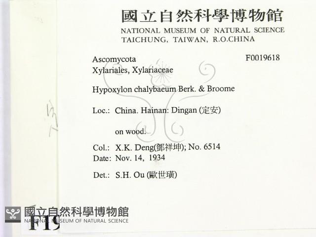 登錄號:F0019618藏品圖，第2張
