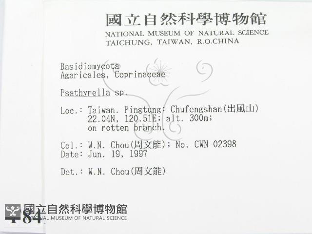 登錄號:F0008418藏品圖，第2張